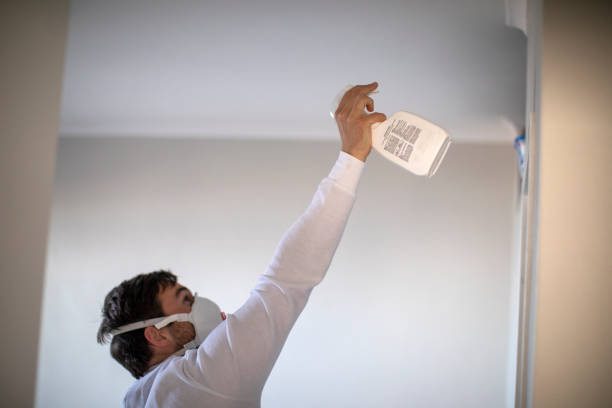 Best Certified Mold Removal  in Dano, CO