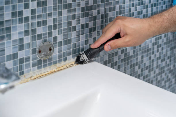 Best Local Mold Removal Service  in Dano, CO